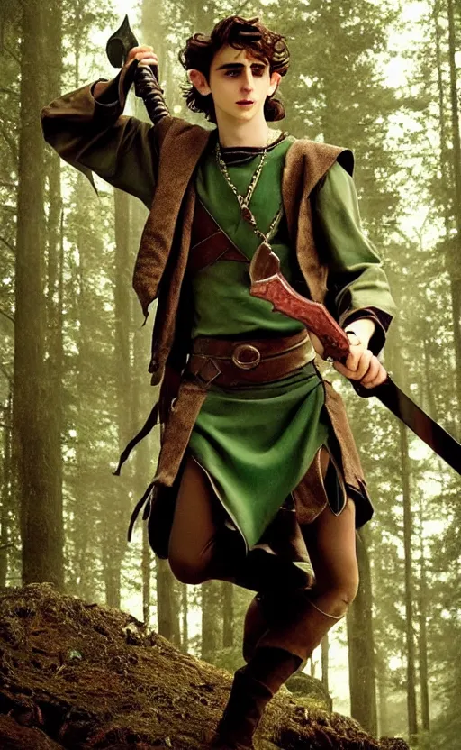 Prompt: Timothee Chalamet starring as Link from Legend of Zelda, movie scene, elf ears, long blonde hair, +++ super super super dynamic posing, thick eyebrows, super serious facial expression, holding a sword & shield, ocarina of time movie, concept photos, dynamic lighting, dynamic shaders, purple light, in the forest