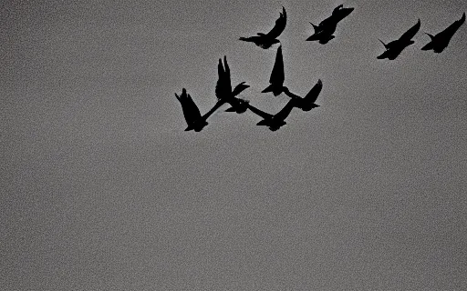 Prompt: sky full of crows, canon eos r 3, f / 1. 4, iso 2 0 0, 1 / 1 6 0 s, 8 k, raw, unedited, symmetrical balance, in - frame,