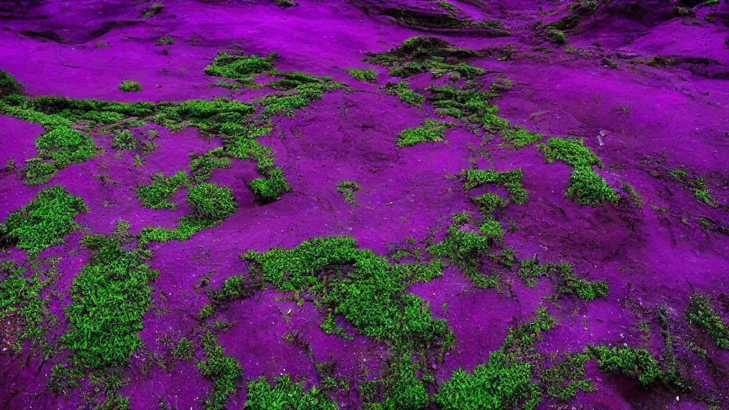 Prompt: Ancient Alien Landscape, purple color, mysterious plant life, lush, vibrant