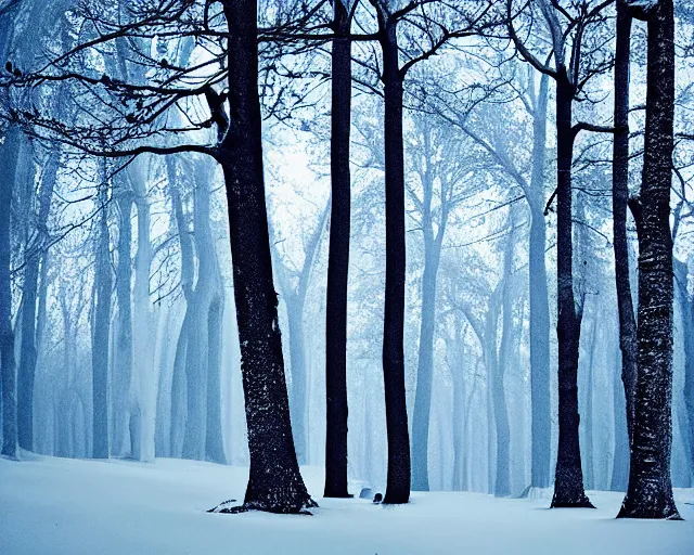 Prompt: winter forest by lorenzo lanfranconi