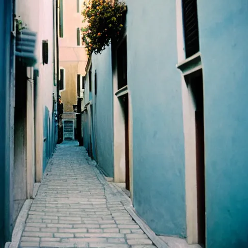 Prompt: kodak portra 8 0 0, flickr photograph view of a calm hallway street street with blue roses in downtown neo - venezia in a dreamy afternoon, a corner shop can be seen