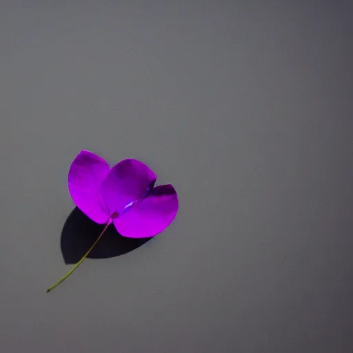 Image similar to closeup photo of lone purple petal flying above a city, aerial view, shallow depth of field, cinematic, 8 0 mm, f 1. 8