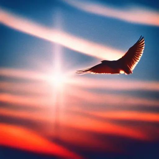 Image similar to Realistic shot of a radiant glowing dove flying over the clouds at sunset, ethereal, vintage photograph, film grain, surreal, awe-inspiring, highly detailed