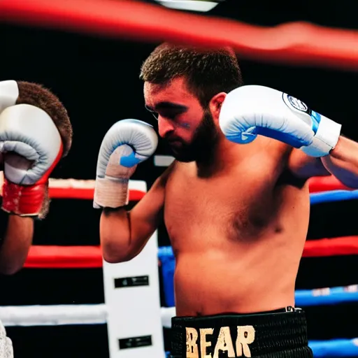 Image similar to a bear as a welterweight boxer winning from a knockout punch, high - res, photorealistic, photography,