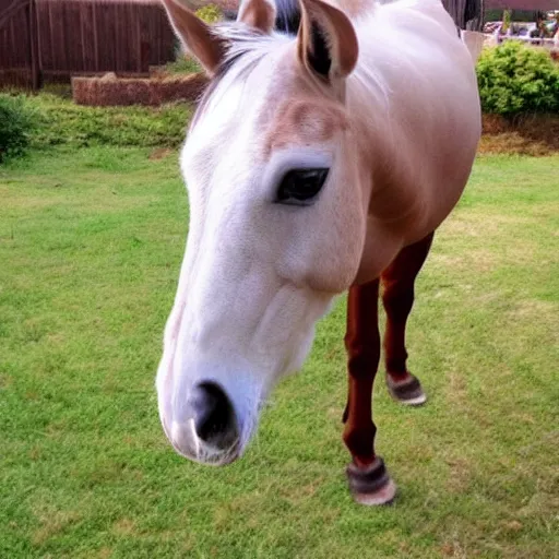 Prompt: cute horse - cat hybrid