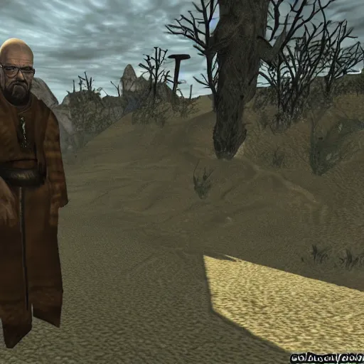 Prompt: walter white in morrowind