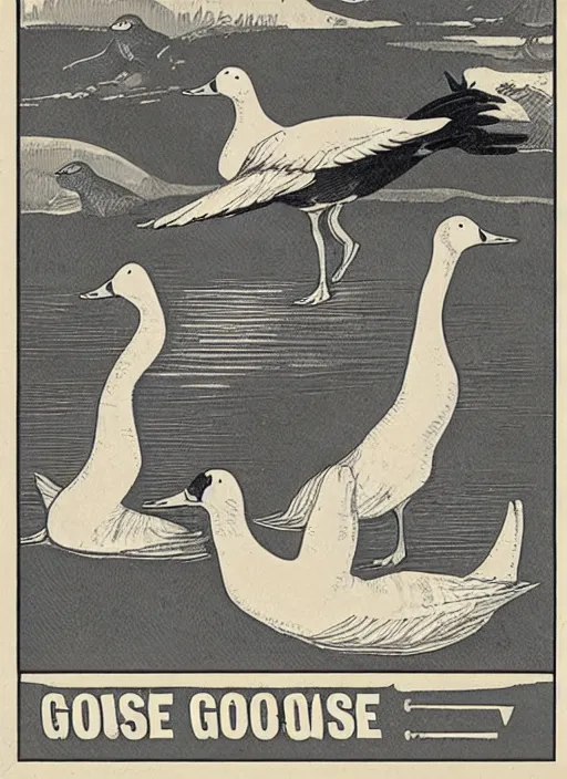 Image similar to goose warning poster. beware the geese, diagram, no text