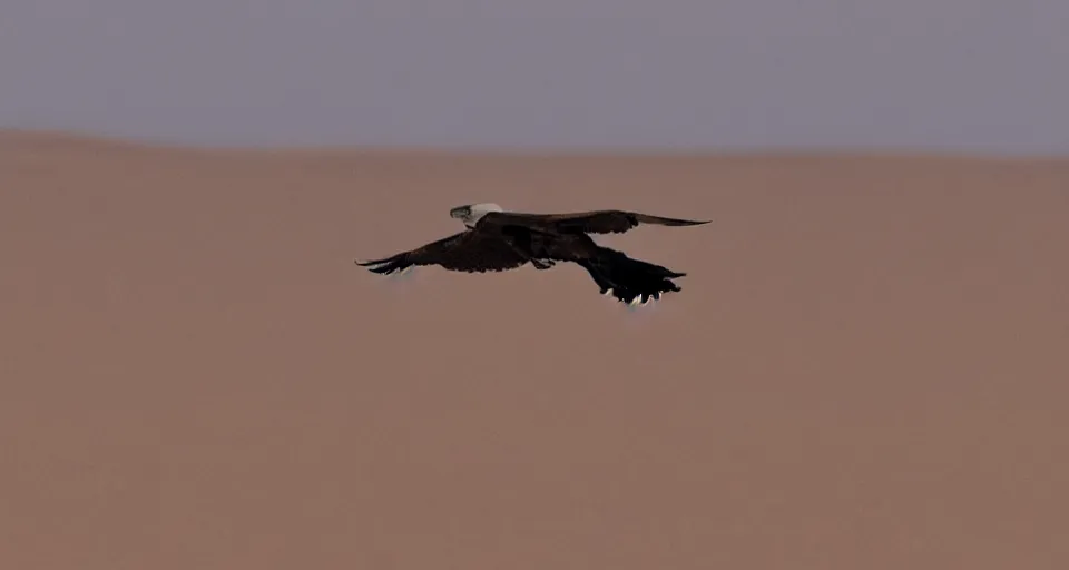 Image similar to a vulture flying over an empty desert