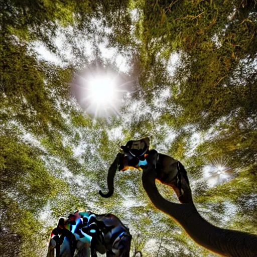 Image similar to An ants view up at an elephant, photograph, 4K, lens flare