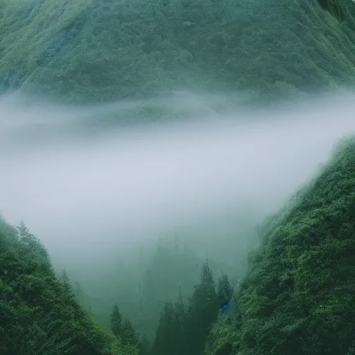 Prompt: emerald urban canyon evergreen forest in fog