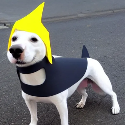 Image similar to Dog cosplaying badly as a shark