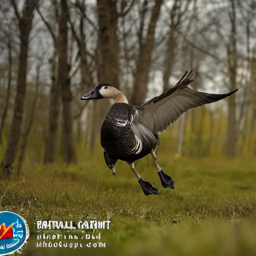 Image similar to high quality trail cam footage of a goose attacking a human. 8 k photography, depth of field, canon dslr