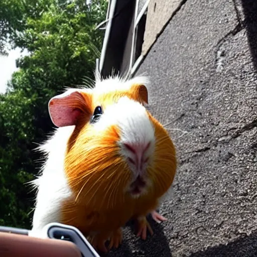 Prompt: a Guinea pig taking a selfie in front of a burning house