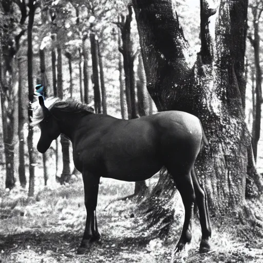 Prompt: unicorn caught on camera in the 1 9 5 0 s, black and white, in a forest