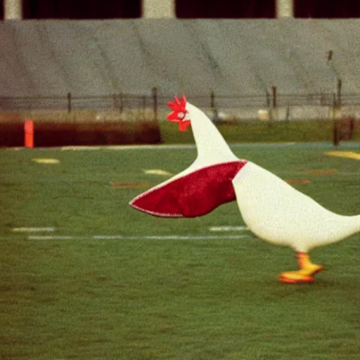 Image similar to the famous funky chicken runs across a football field, interrupting the big game, 3 5 mm