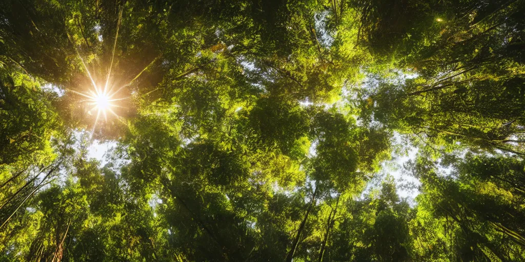 Image similar to horizontal view of sunlit rainforest treetops with flying birds, photograph, 4 k