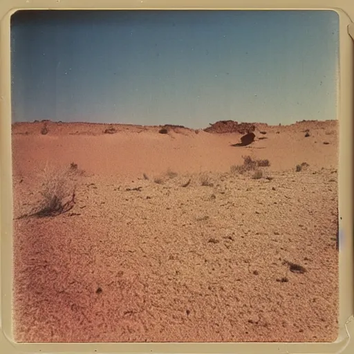 Image similar to a cat lost in the desert, polaroid, 8 mm