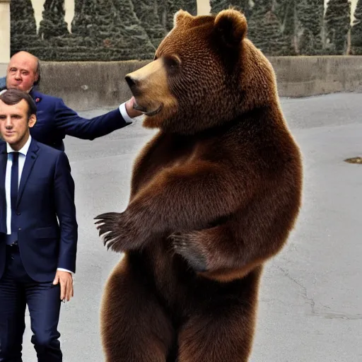 Image similar to emmanuel macron on a bear