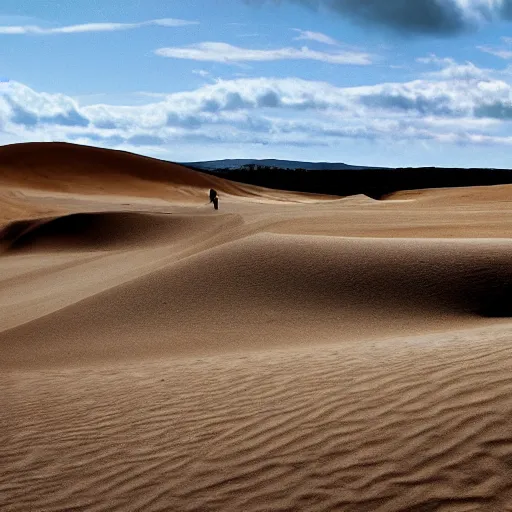 Image similar to sandboarding sandhills and seascape hokianga, cinematic composition, wide shot, digital art