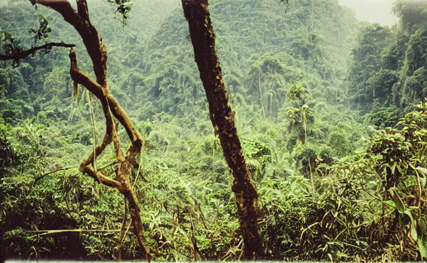 Prompt: laos jungle landscape, 35mm film photo, analog photography, film artifacts, cinematic light, blurry background, hyperrealistic