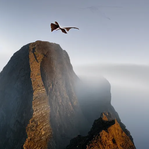 Image similar to a giant roc, with bright plumage soaring over mountains covered in mist, wildlife photography, 7 2 mm lens, national geographic award winning