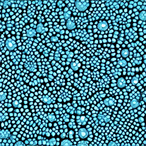 Prompt: highly intricate interlocking tiny aqua blue blobs, ansel adams