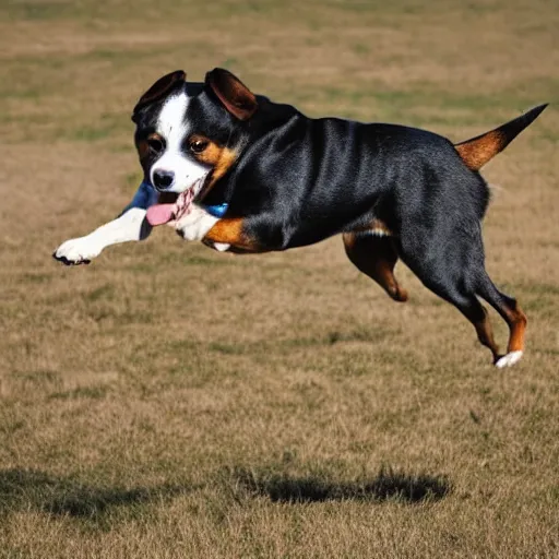 Image similar to I have never seen a dog fly this is amazing, 4k