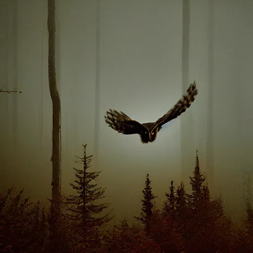 Image similar to owl flying at night through fog in the forest lit by the full moon