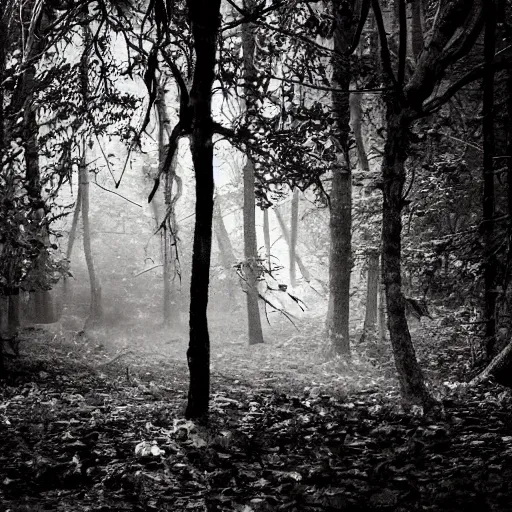 Image similar to book on the ground of the woods, horror, scary, dramatic lighting, shadows, monster