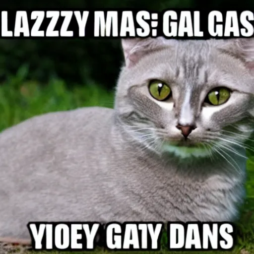 Prompt: memes for lazy cats