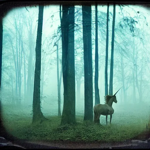 Image similar to wounded young unicorn in a foggy forest, polaroid photography in style of andrey tarkovski, spiritual, mystical, sublime
