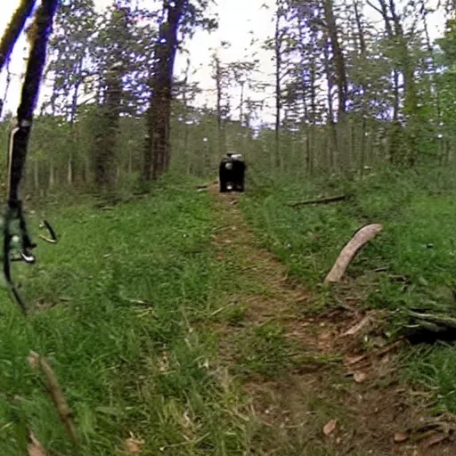 Prompt: trail cam footage of Donald trump