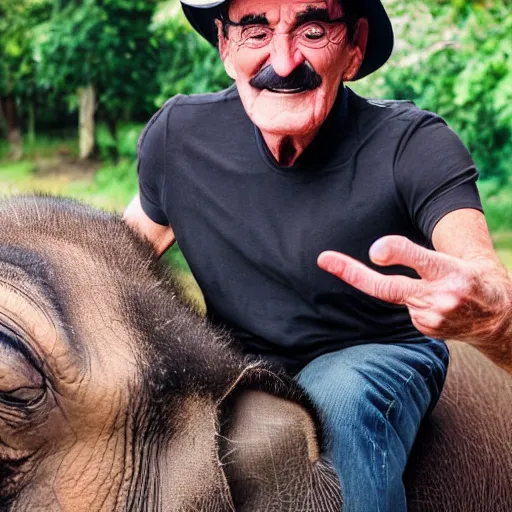 Image similar to Paul chuckle taking a selfie while riding an elephant, photorealistic, 4k