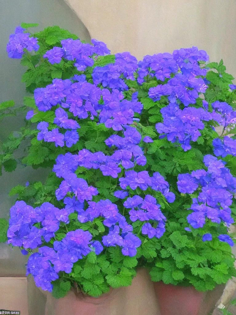 Image similar to well the telephone was ringing in a corridor of blue, a geranium came out of it reminded me of you