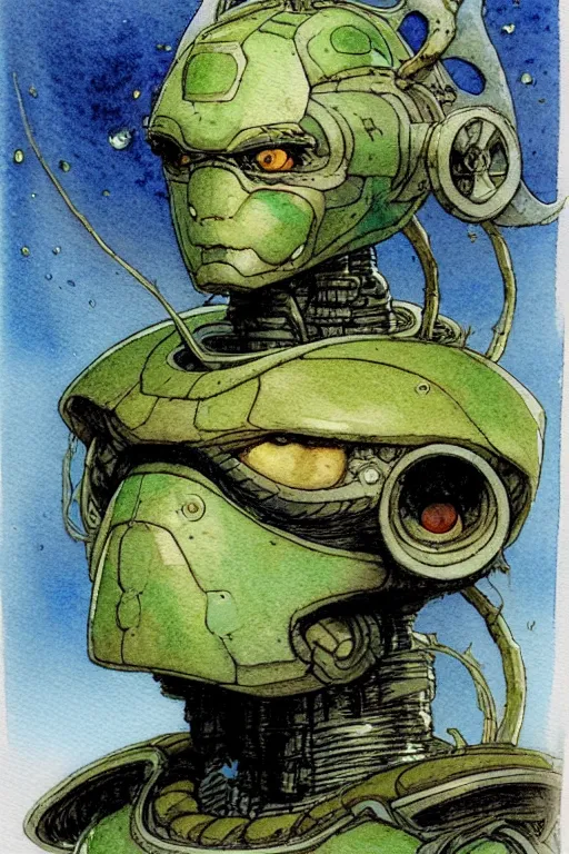 Image similar to a simple and atmospheric watercolour fantasy character concept art portrait of a mechanized android turtle as a druidic warrior wizard looking at the camera with an intelligent gaze, very muted colors, by rebecca guay, michael kaluta, charles vess and jean moebius giraud