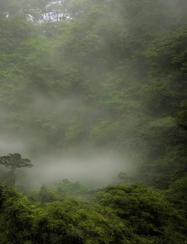 Image similar to a cinematic photo of an ancient japanese hot springs temple on the top of a mountain in a misty bamboo cloud forest