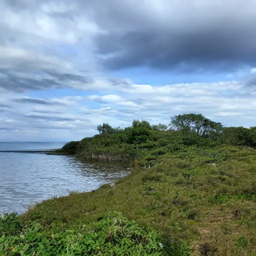 Prompt: You stand in a broken terrain scattered with pleasant-smelling shrubs. You can see a small body of water to the south. The temperature is warm and the sky is partially cloudy.