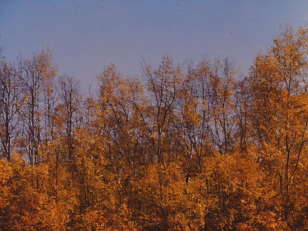 Image similar to a lomographic photo of a view of the outskirts of moscow, autumn, cinestill, bokeh