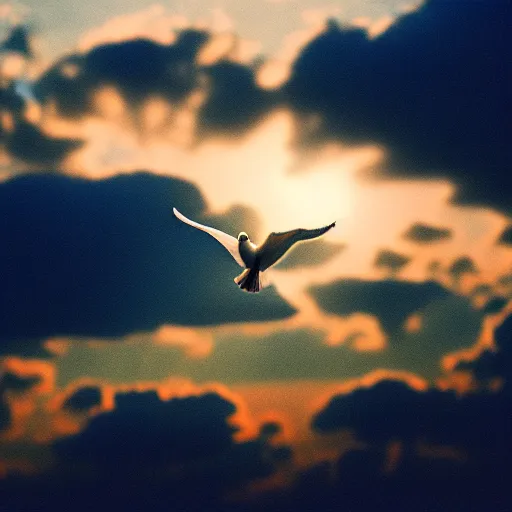 Prompt: Close-up realistic shot of a radiant white dove flying over the clouds at sunset, ethereal, vintage photograph, film grain, surreal, awe-inspiring, highly detailed