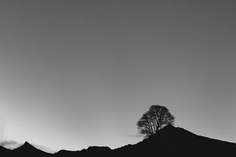 Prompt: A beautiful landscape photography of Ciucas mountains mountains, a dead intricate tree in the foreground, sunset, dramatic lighting by Anselm Adams and Albrecht Durer,