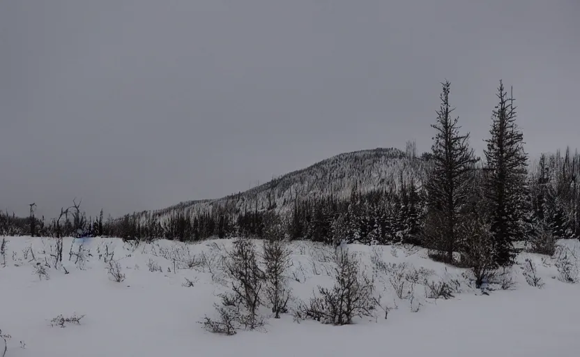 Image similar to a bleak empty winter northern wilderness