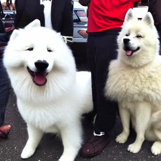 Prompt: samoyed with snoop dogg