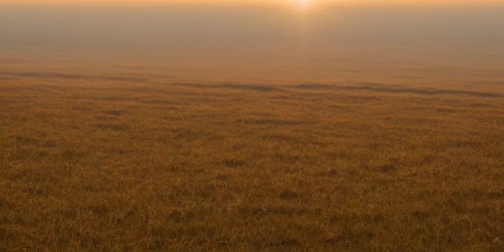 Prompt: the rising sun sent fingers of light through the pale white mists of dawn. a wide plain spread out beneath them, bare and brown, its flatness here and there relieved by long, low hummocks.