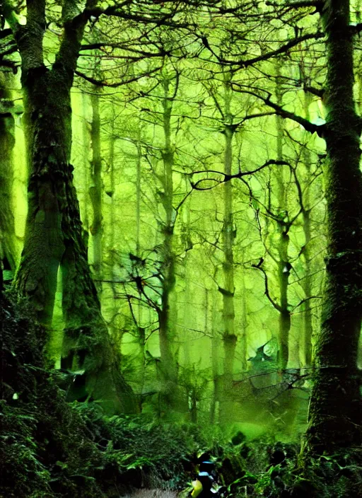 Image similar to lush forest, high detail, 4 k, surrealism style by john atkinson grimshaw, artstation