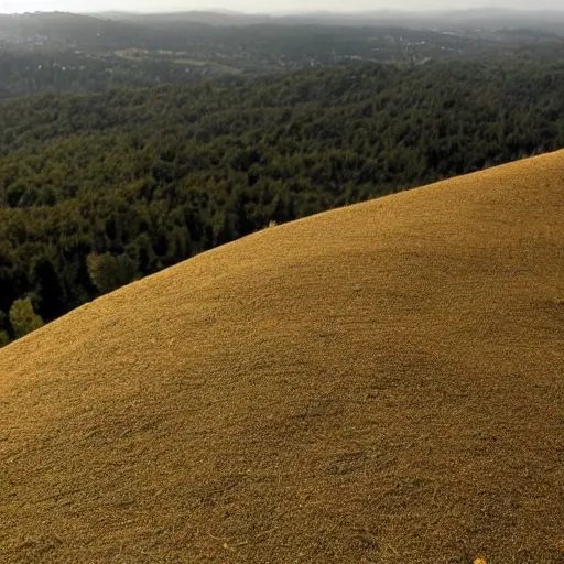 Prompt: a hill covered in goosebumps