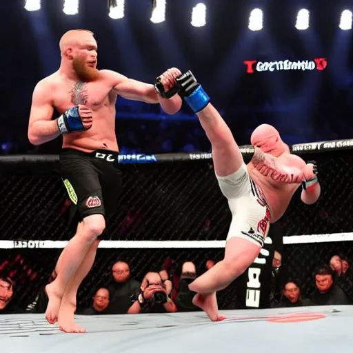 Image similar to conor mcgregor fighting brock lesnar in the ufc