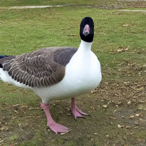 Image similar to photo of a goose wearing knight armor