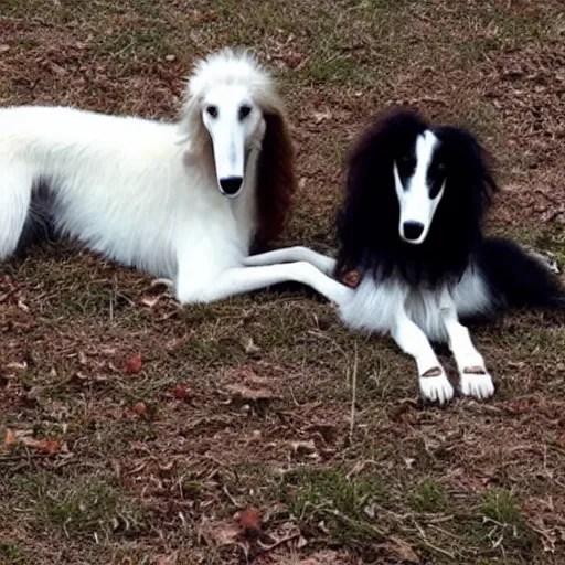 Prompt: borzoi judging wether someone should live or perish