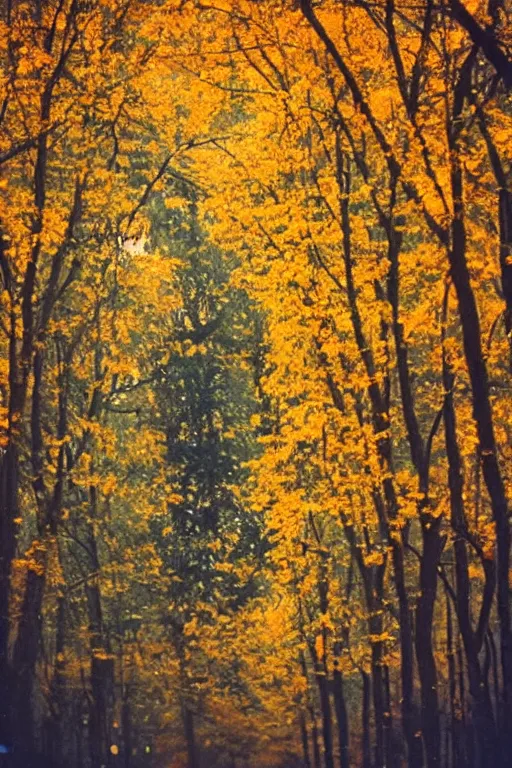 Image similar to a lomographic photo of moscow, autumn, cinestill, bokeh