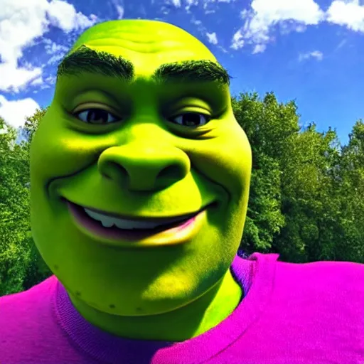 latest selfie  Disneyland pictures, Shrek funny, Shrek